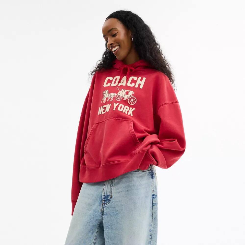 Horse and Carriage Hoodie