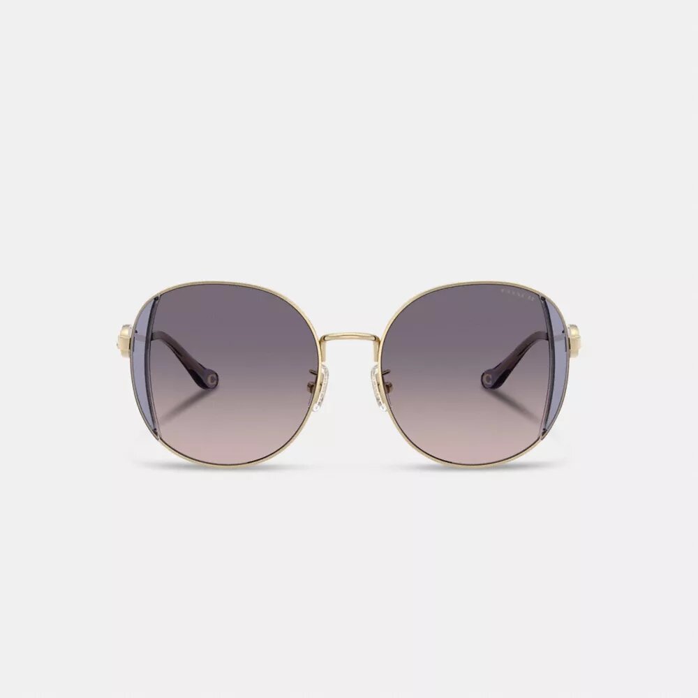 Horse and Carriage Metal Round Sunglasses