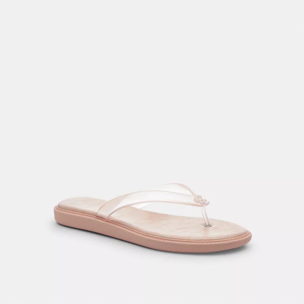 Jelly Flip Flop in Signature