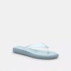Jelly Flip Flop in Signature