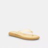 Jelly Flip Flop in Signature