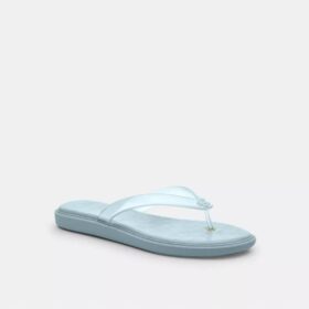 Jelly Flip Flop in Signature