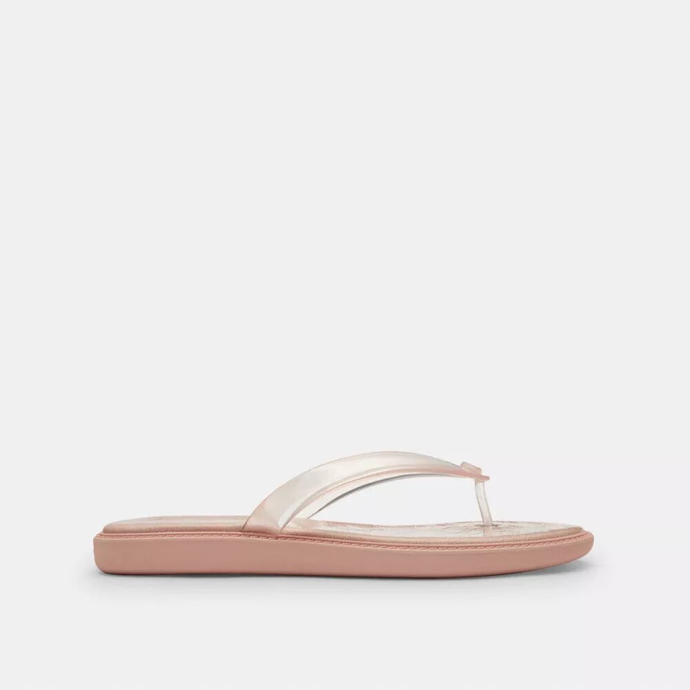 Jelly Flip Flop in Signature
