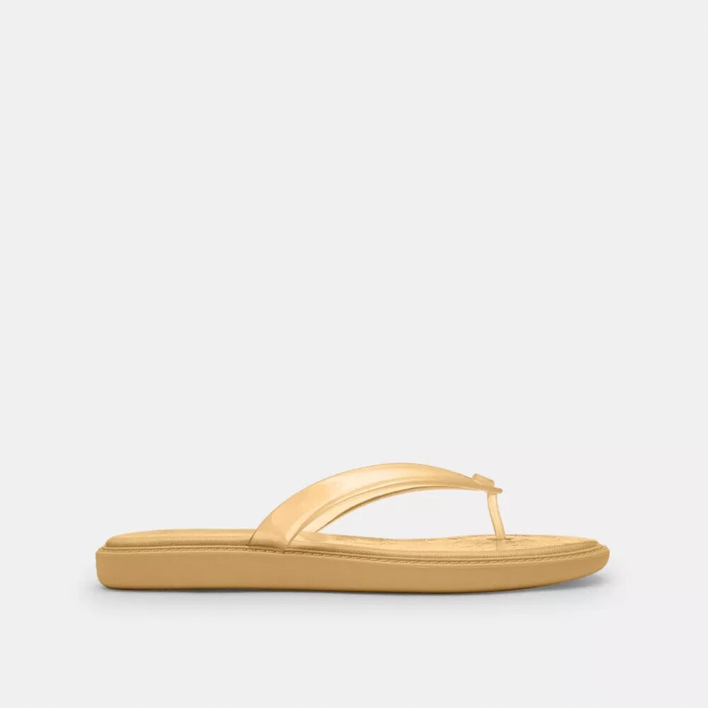 Jelly Flip Flop in Signature