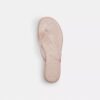 Jelly Flip Flop in Signature