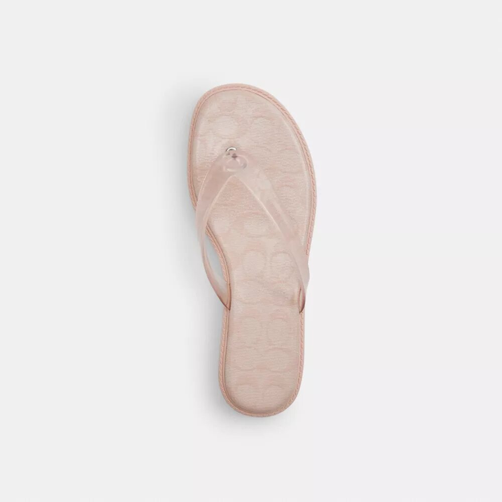 Jelly Flip Flop in Signature