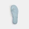 Jelly Flip Flop in Signature