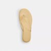 Jelly Flip Flop in Signature
