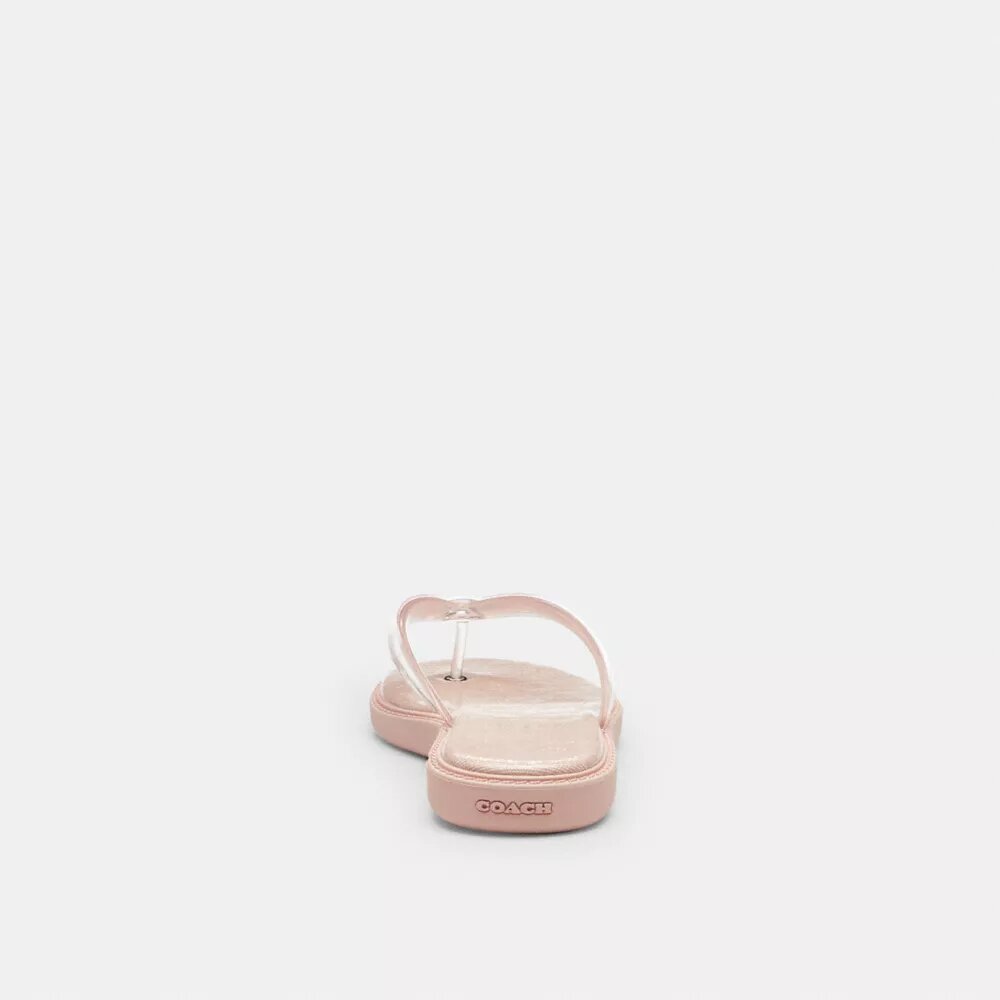 Jelly Flip Flop in Signature