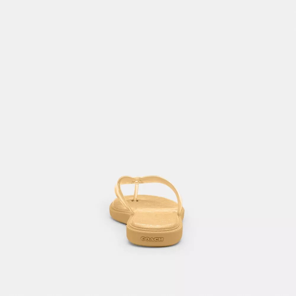 Jelly Flip Flop in Signature