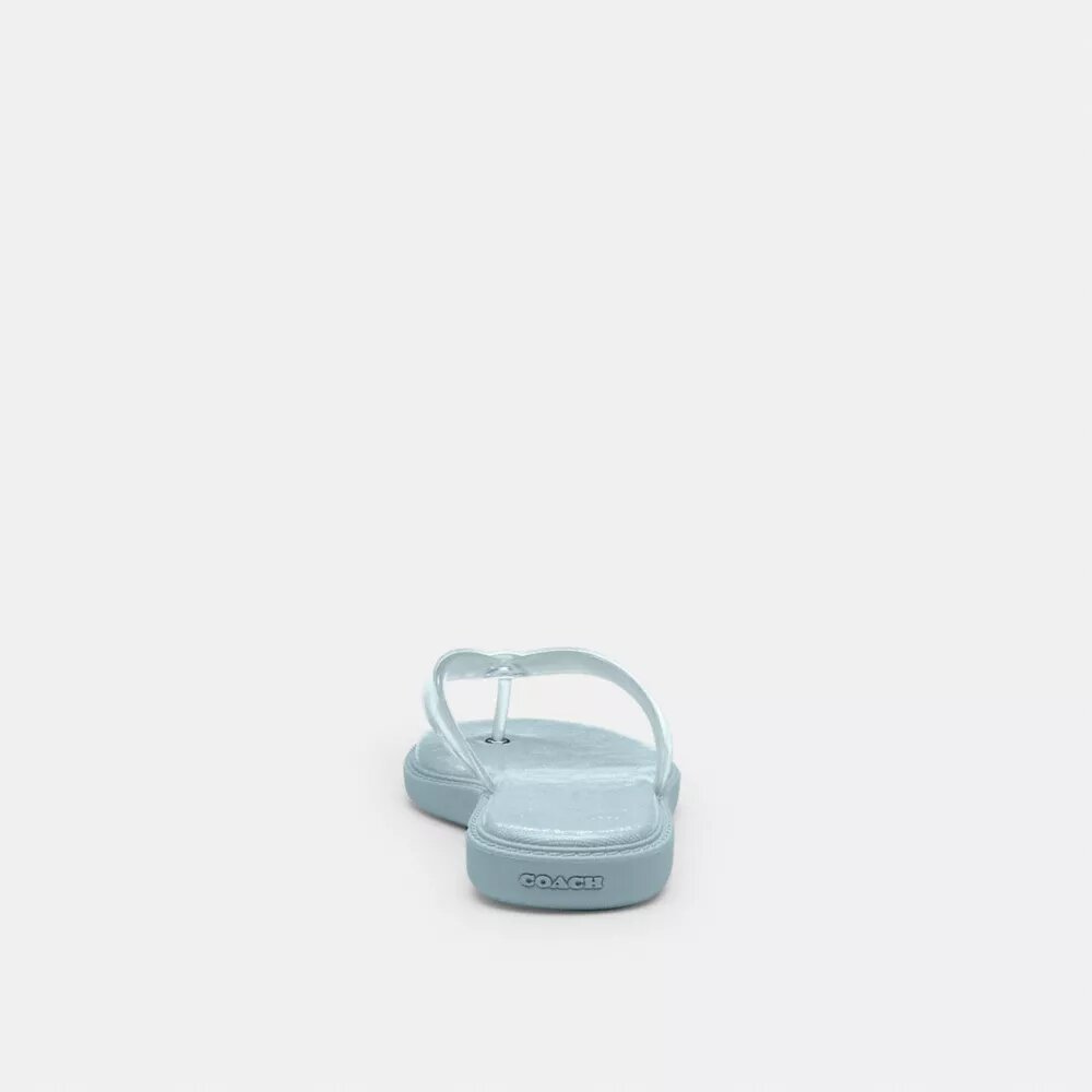 Jelly Flip Flop in Signature
