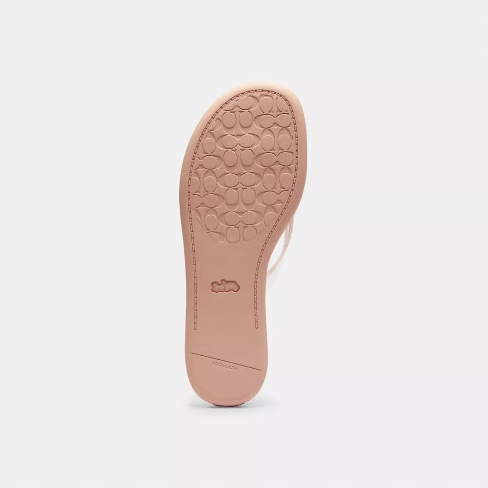 Jelly Flip Flop in Signature