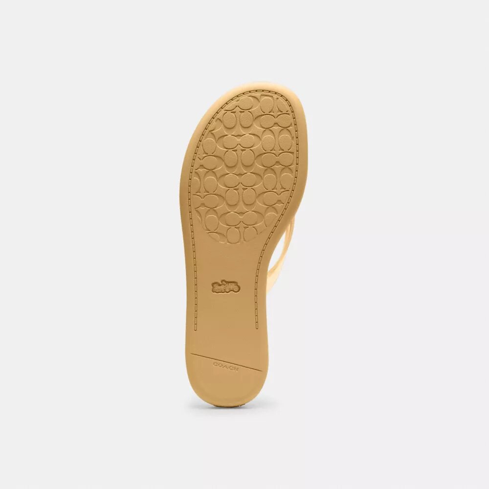 Jelly Flip Flop in Signature