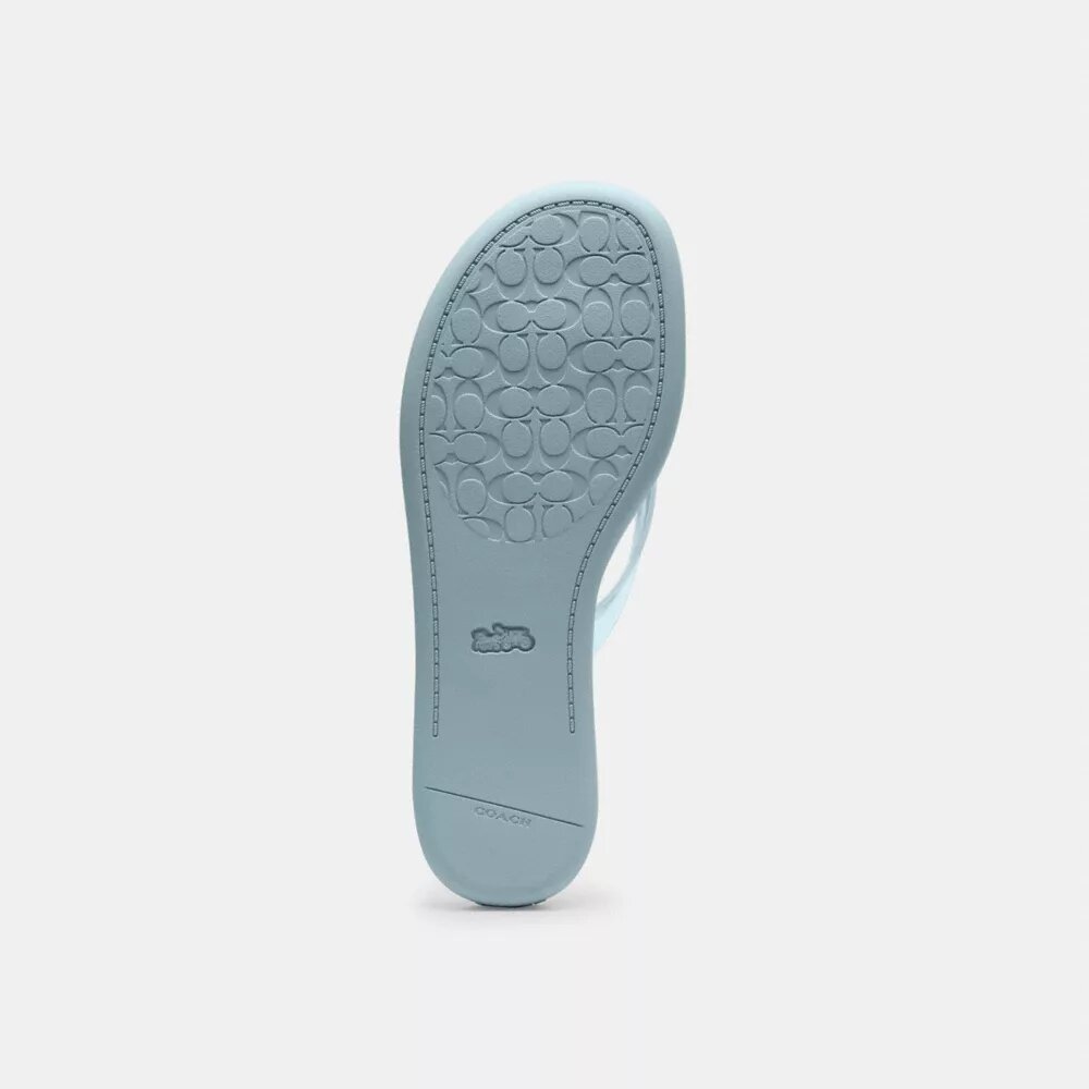 Jelly Flip Flop in Signature