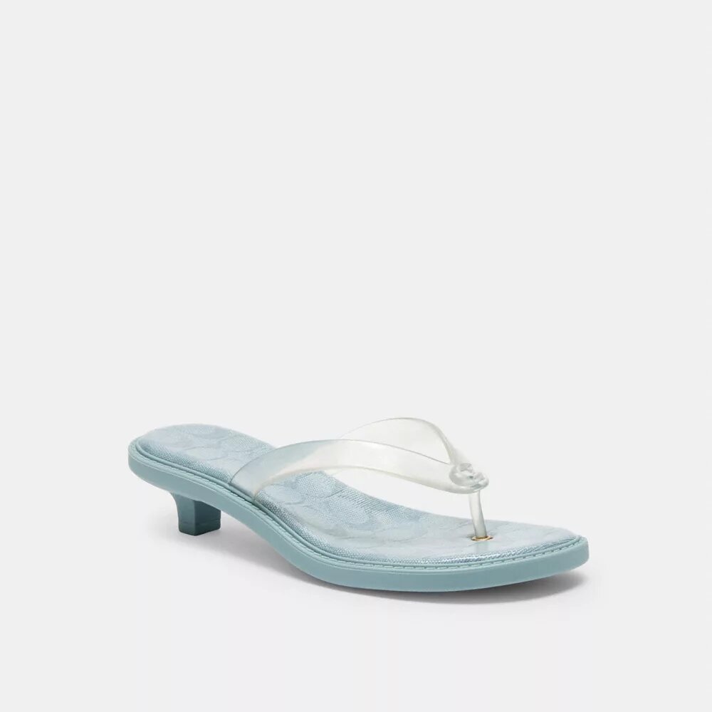 Jelly Thong Sandal in Signature