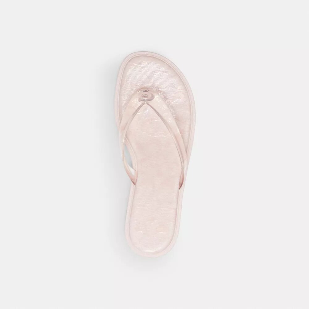 Jelly Thong Sandal in Signature