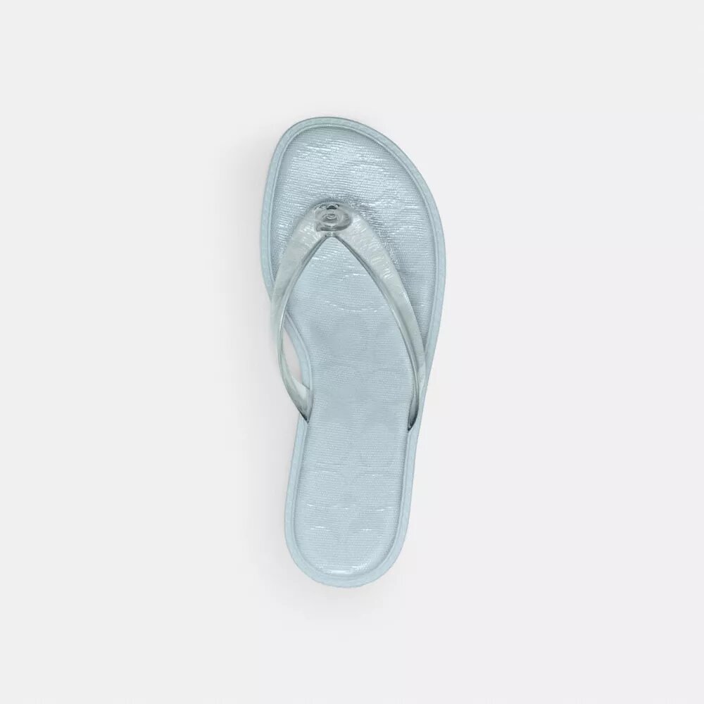Jelly Thong Sandal in Signature