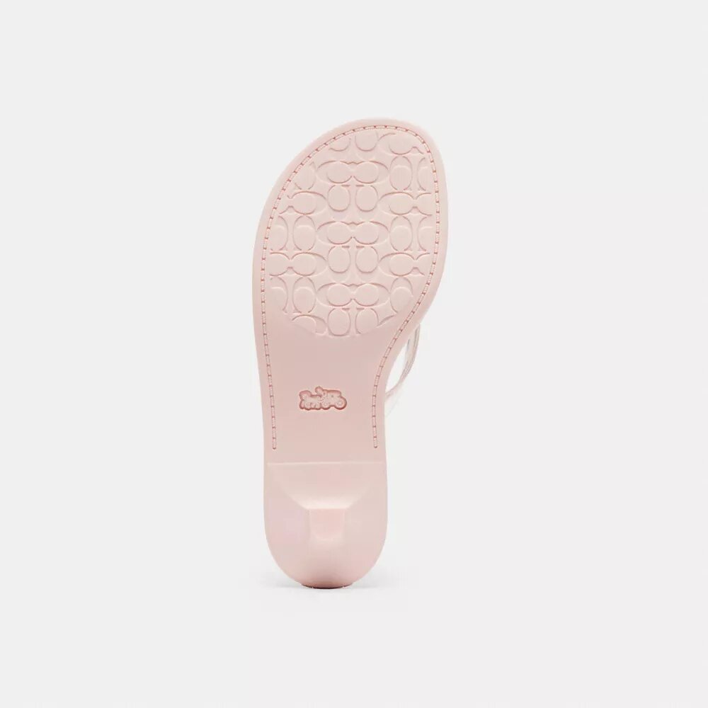 Jelly Thong Sandal in Signature