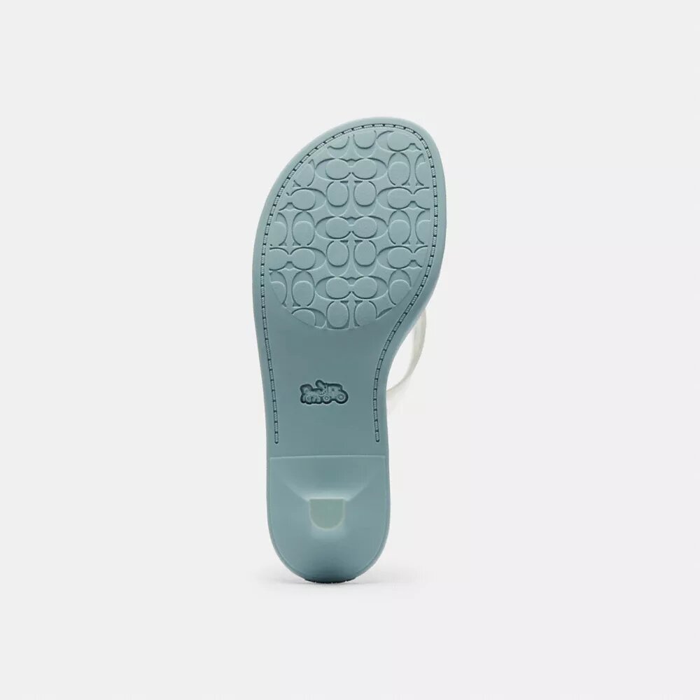 Jelly Thong Sandal in Signature