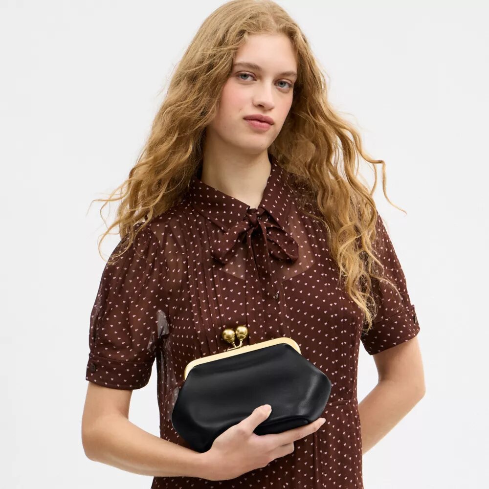Kisslock Frame Bag 16