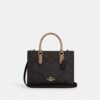 Maggie Small Tote Bag in Blocked Signature Canvas