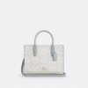 Maggie Small Tote Bag in Signature Canvas