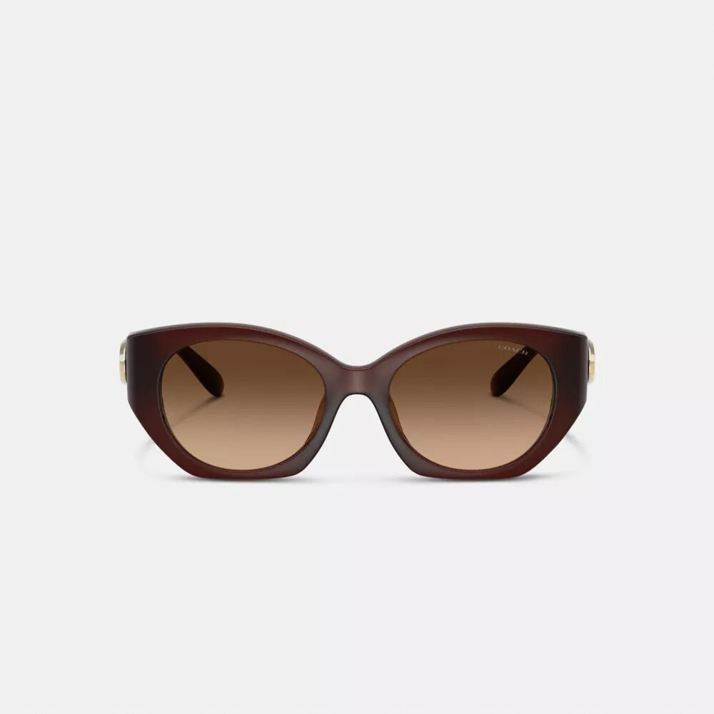 Maxi Sculpted C Oval Sunglasses