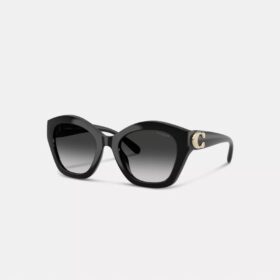 Maxi Sculpted C Oversized Geometric Sunglasses