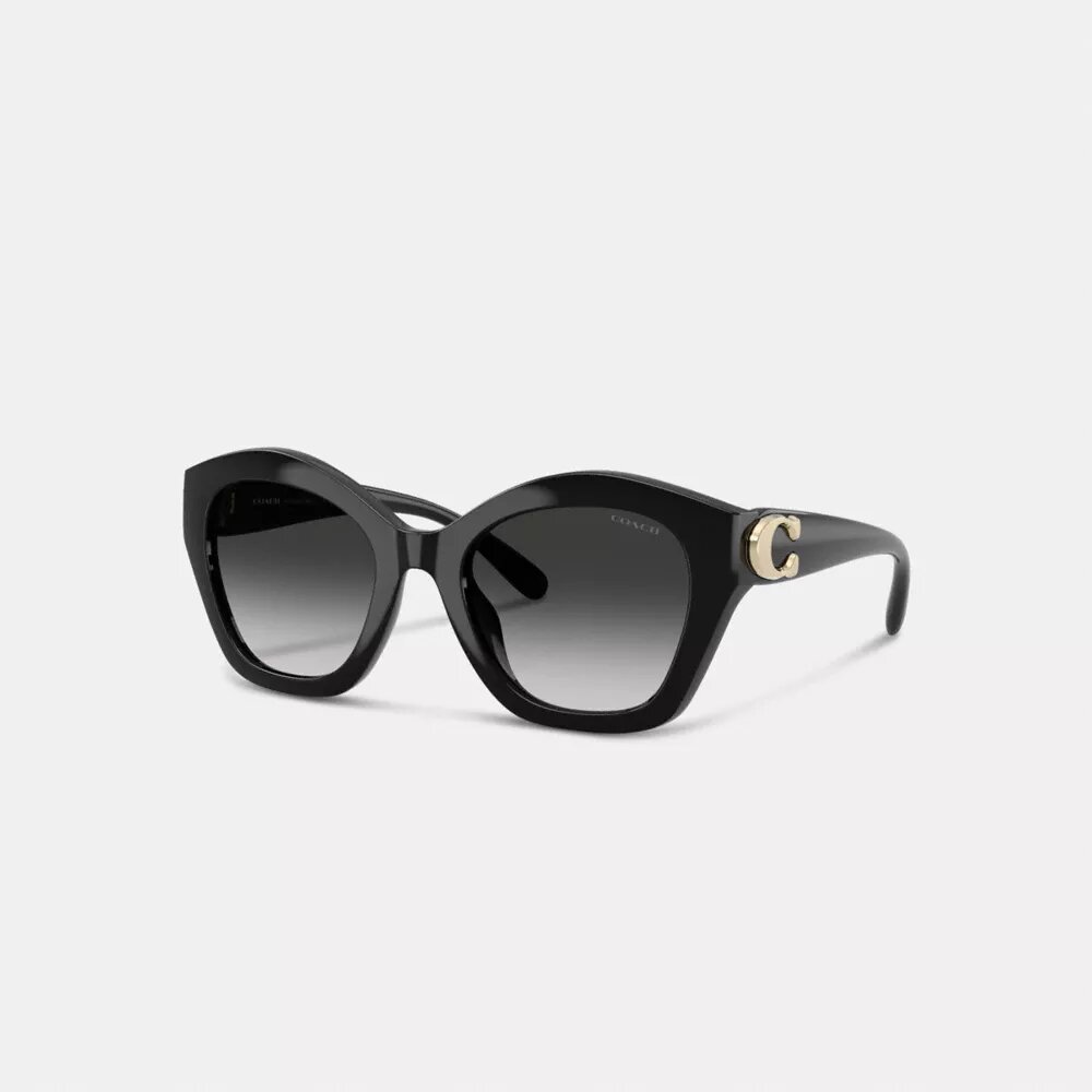 Maxi Sculpted C Oversized Geometric Sunglasses