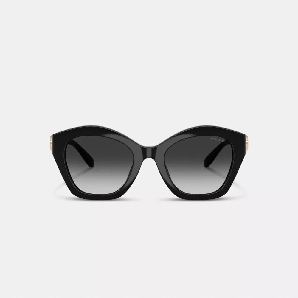Maxi Sculpted C Oversized Geometric Sunglasses