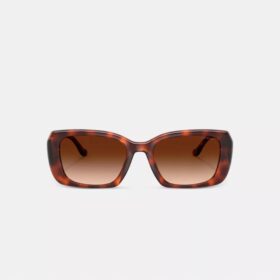 Maxi Sculpted C Oversized Rectangle Sunglasses