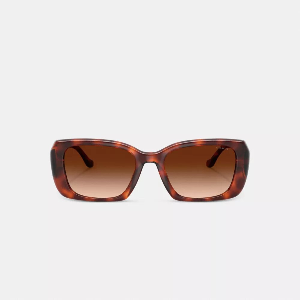 Maxi Sculpted C Oversized Rectangle Sunglasses