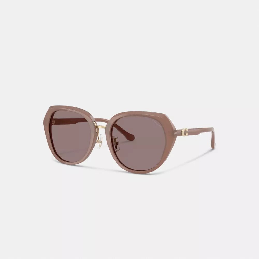 Maxi Sculpted C Oversized Round Sunglasses