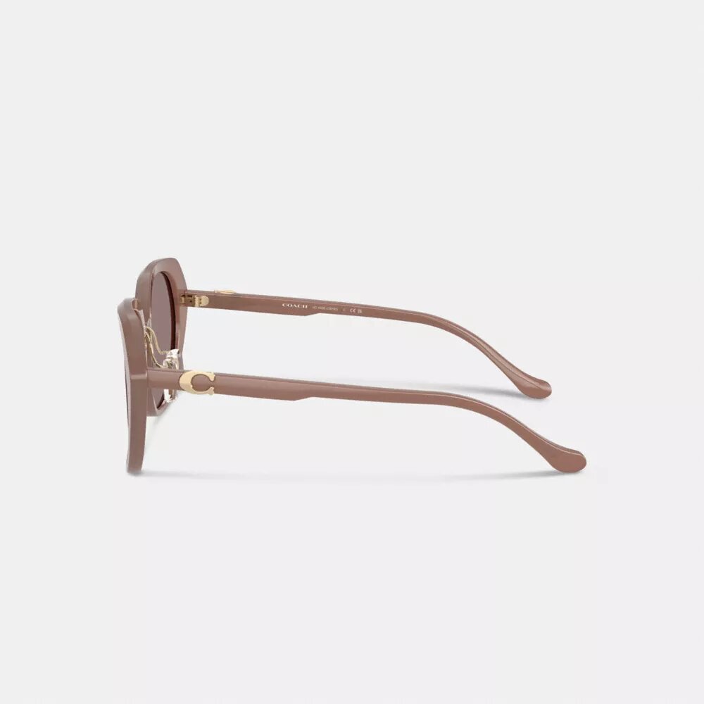 Maxi Sculpted C Oversized Round Sunglasses