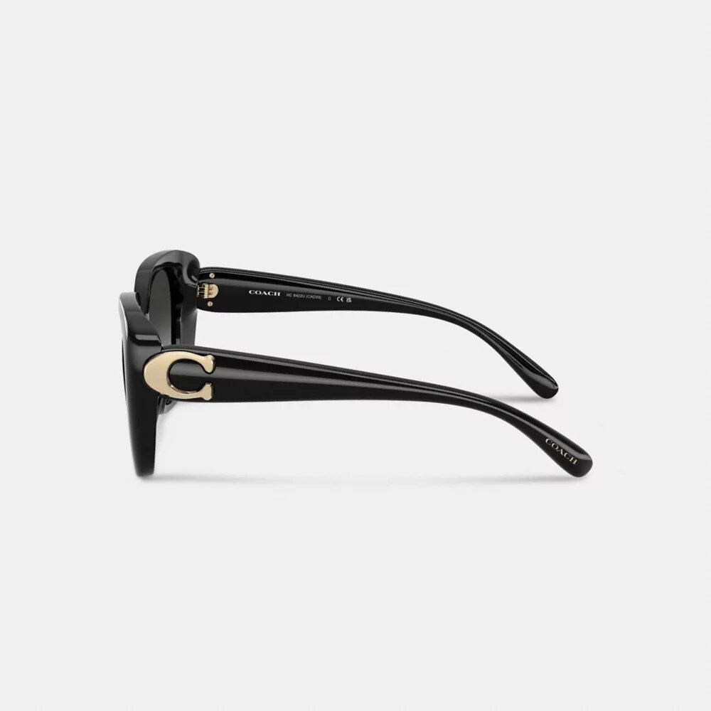 Maxi Sculpted C Oversized Square Sunglasses