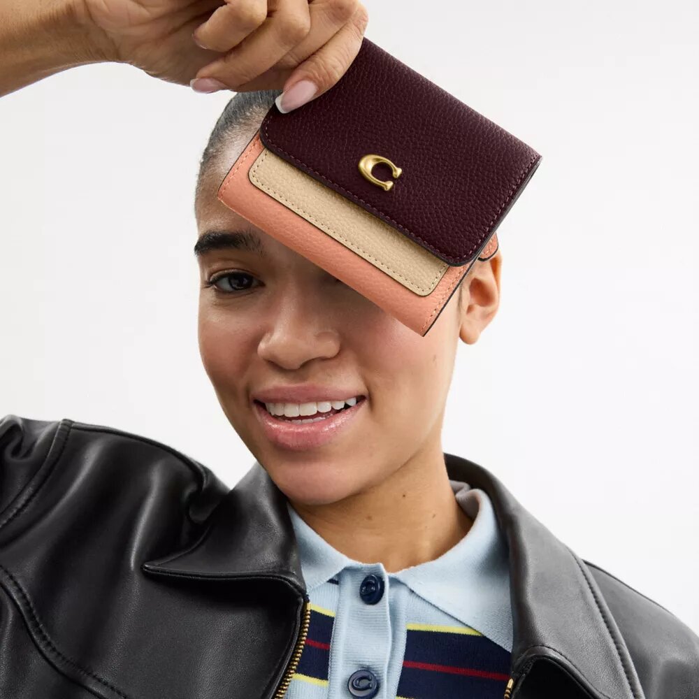 Mila Small Flap Wallet in Colorblock