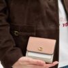 Mila Small Flap Wallet in Colorblock