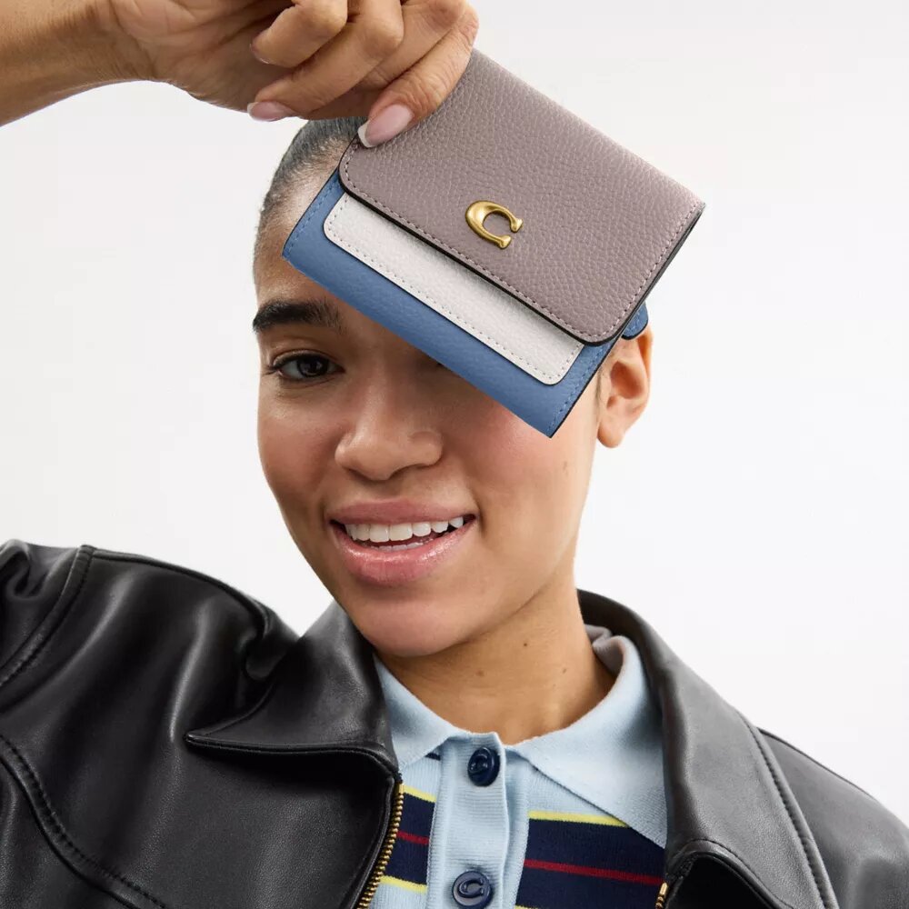 Mila Small Flap Wallet in Colorblock
