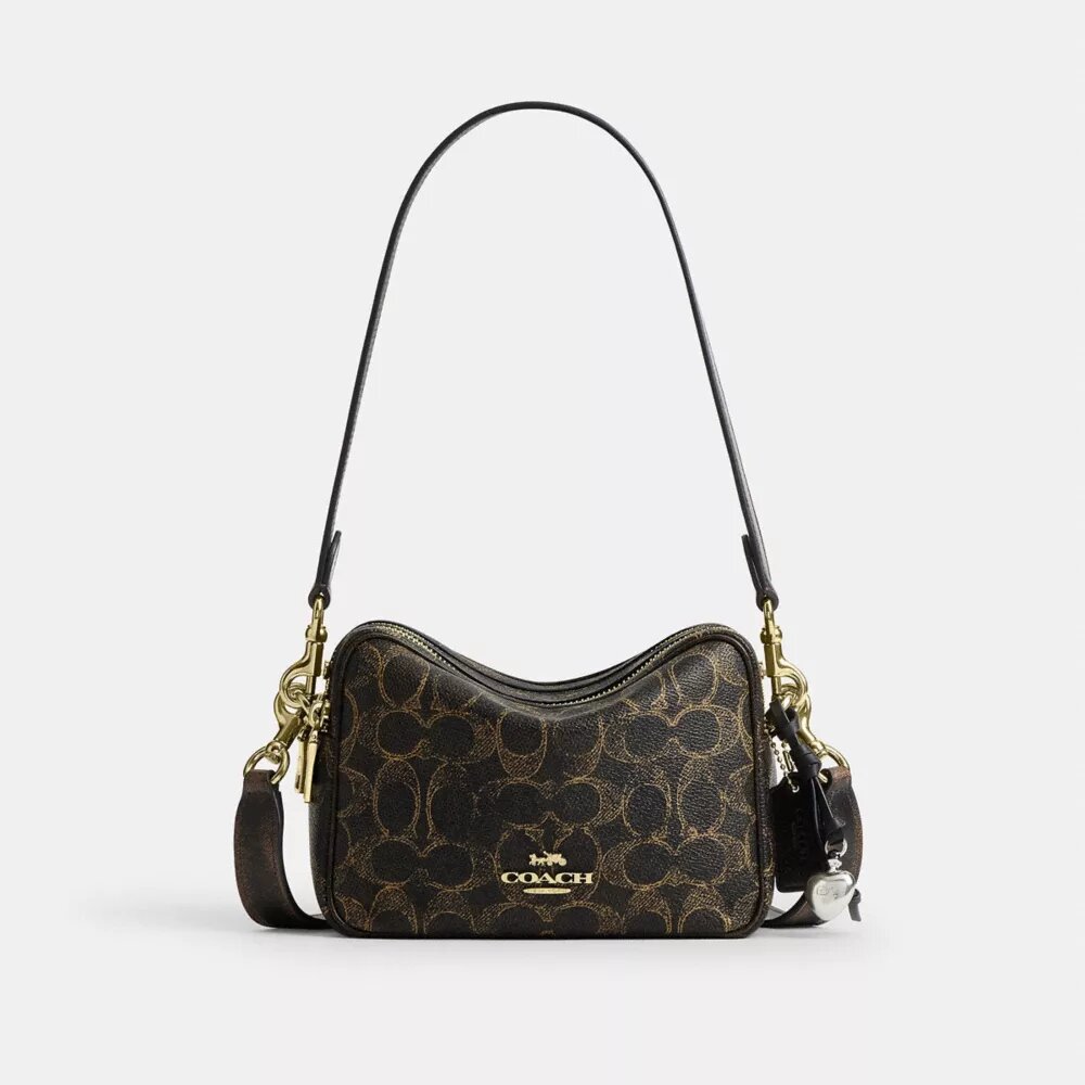 Mini Carey Crossbody Bag in Loved Signature Canvas