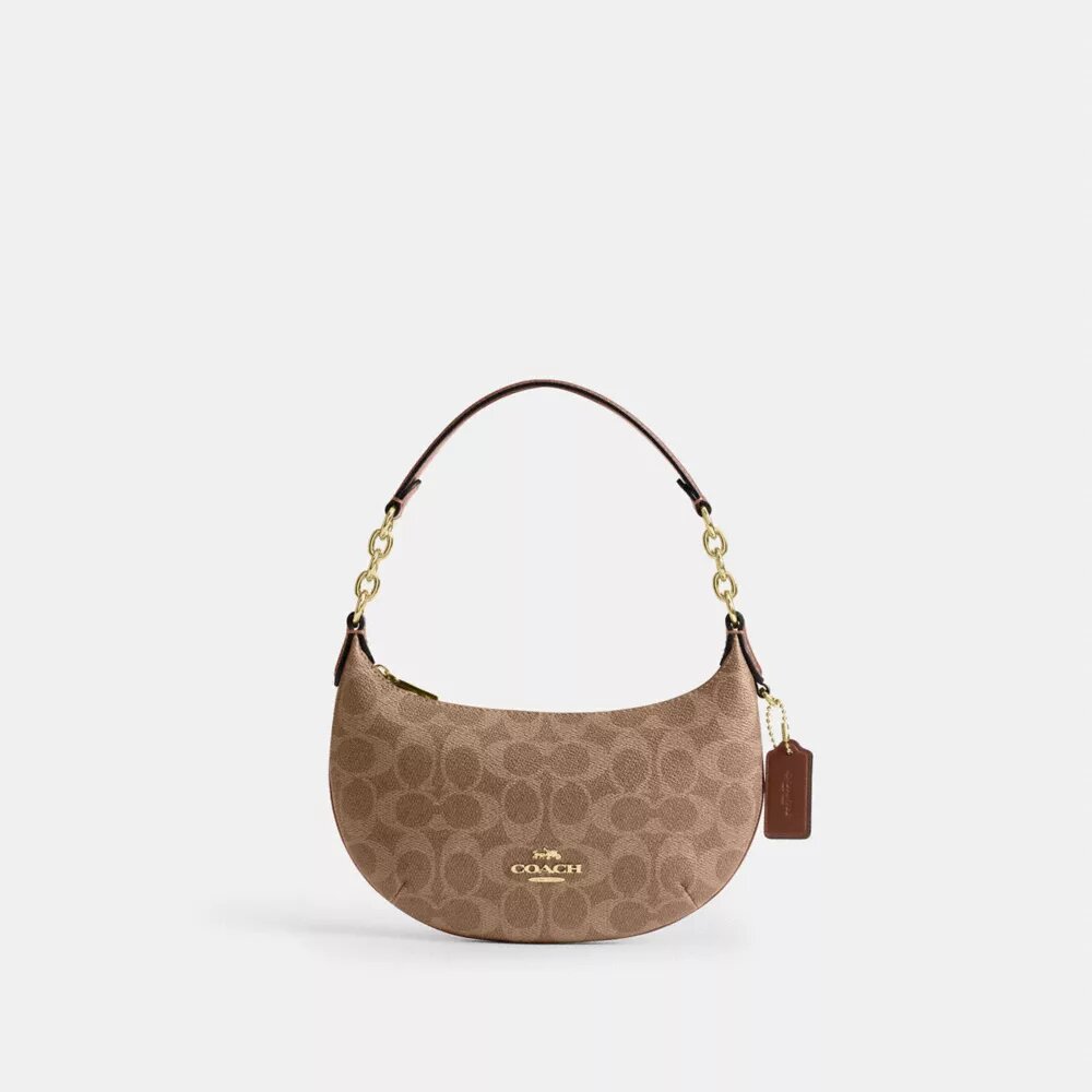 Mini Payton Bag in Signature Canvas