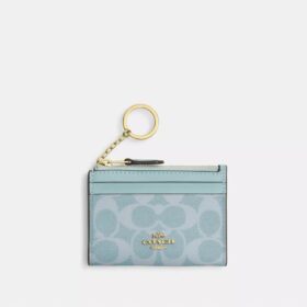 Mini Skinny Id Case in Signature Canvas