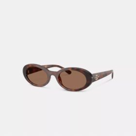 Narrow Oval Sunglasses