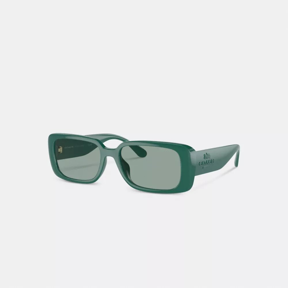 Narrow Rectangle Sunglasses