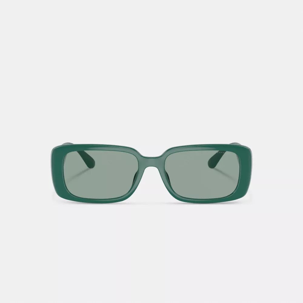 Narrow Rectangle Sunglasses