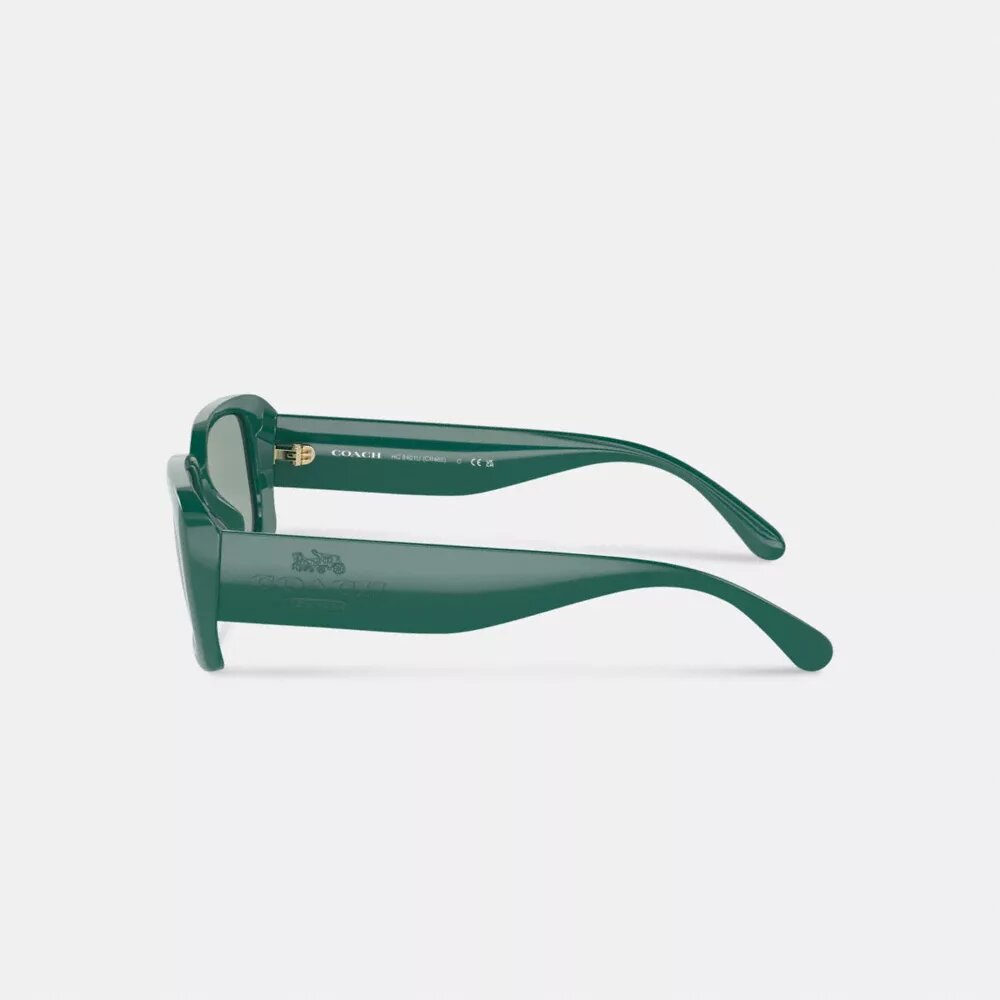 Narrow Rectangle Sunglasses