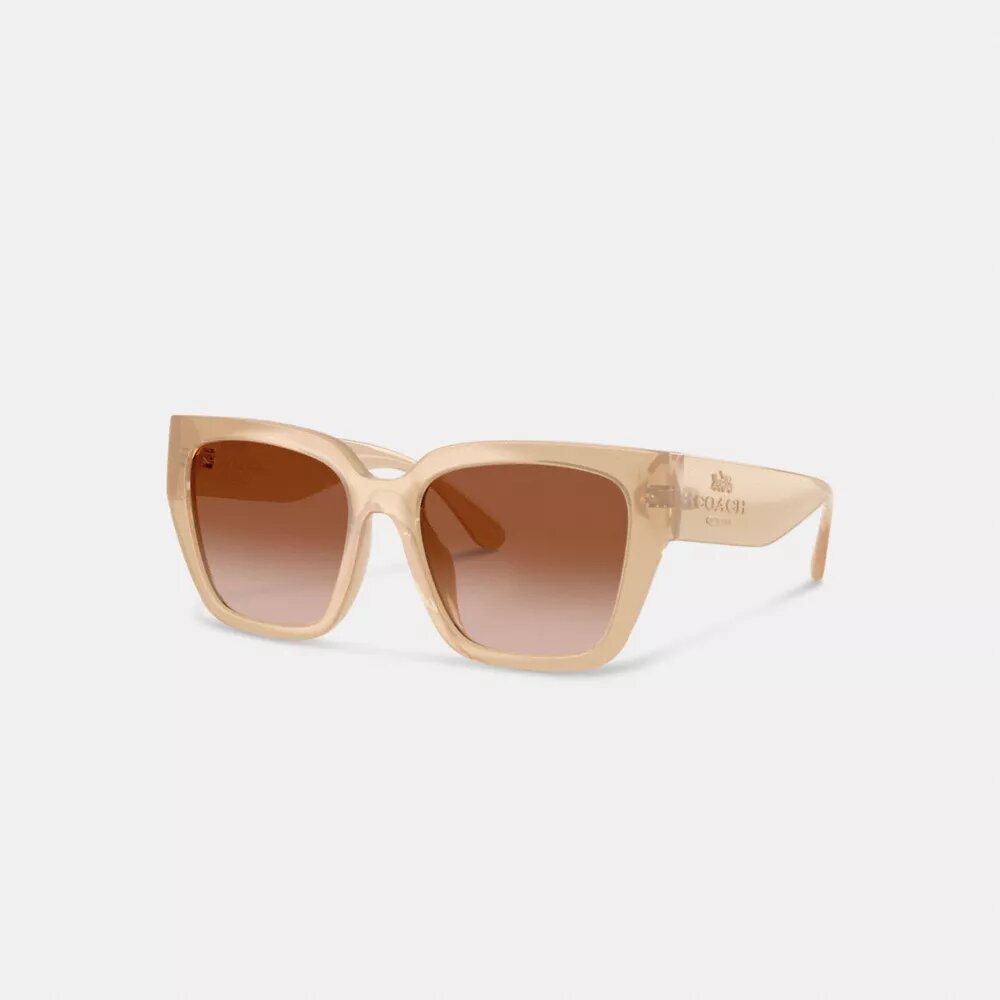 Oversized Cat Eye Sunglasses