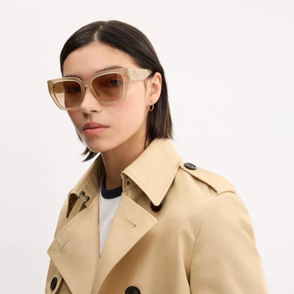 Oversized Cat Eye Sunglasses