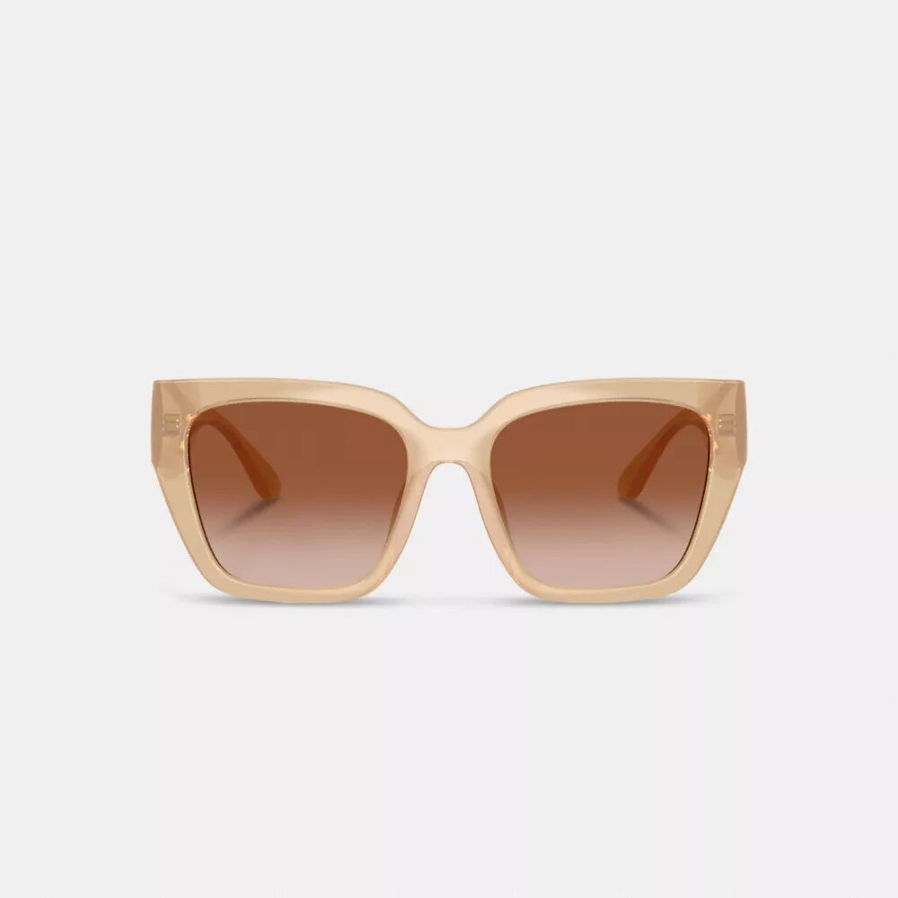 Oversized Cat Eye Sunglasses