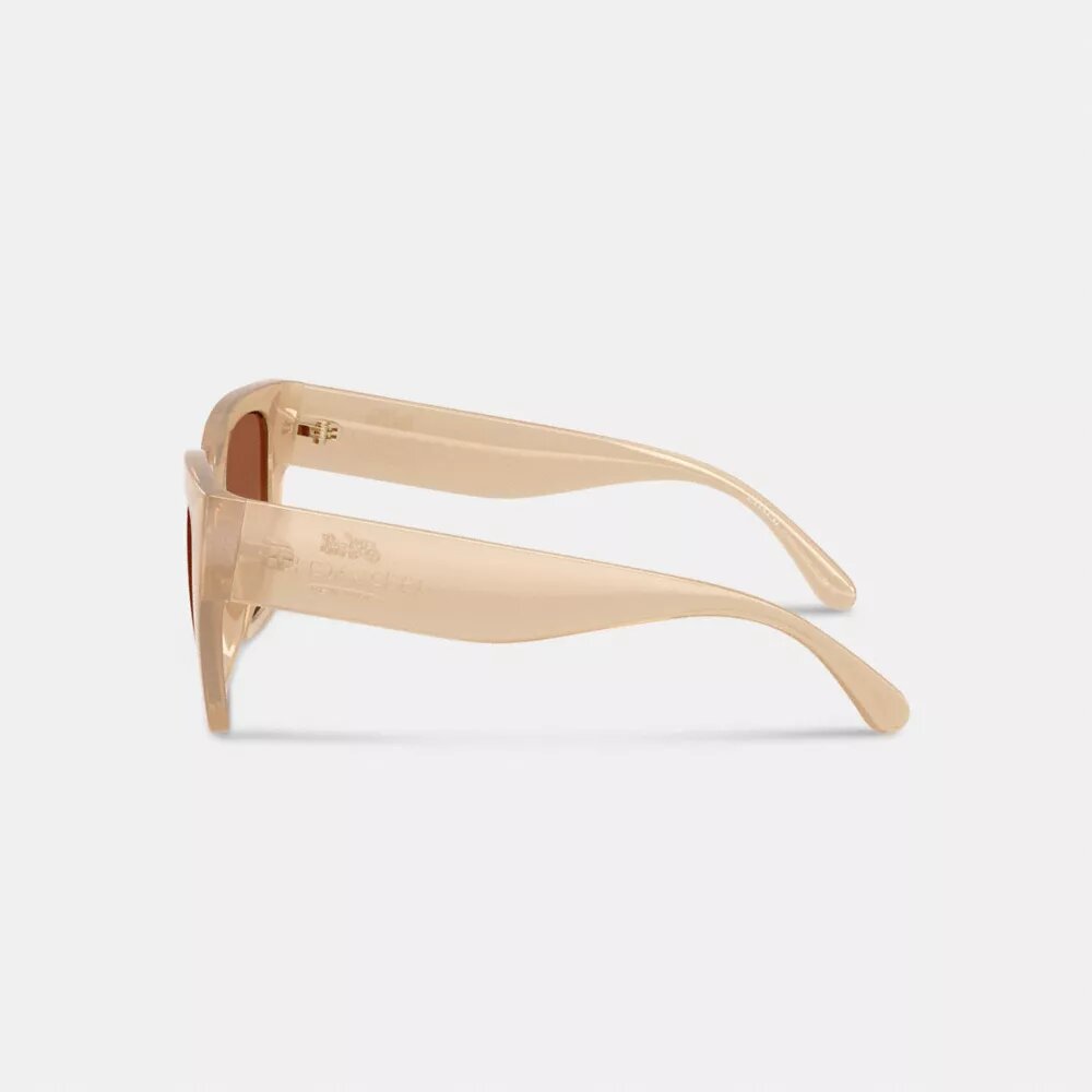 Oversized Cat Eye Sunglasses