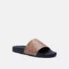 Pool Slide in Signature Canvas